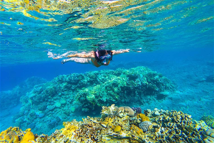 Ao Leuk Shark Bay Koh Tao – family-friendly snorkeling beaches in Thailand