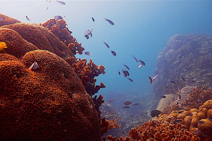 Hin Wong Bay