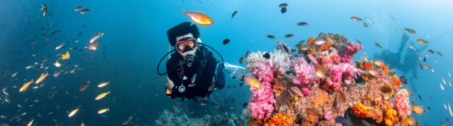 Best beaches to snorkel and to swim in Thailand