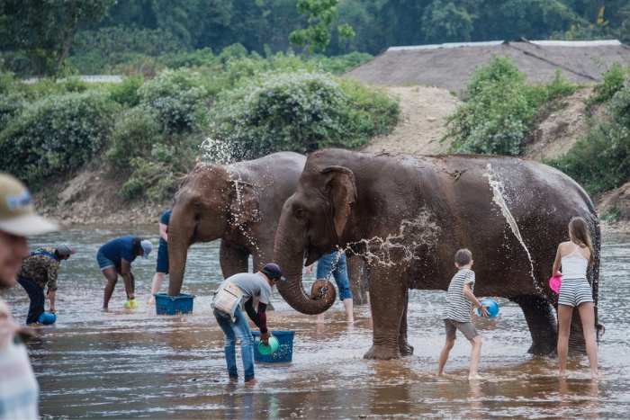 Have fun at Elephant Nature Park, one of the family-friendly activities Thailand