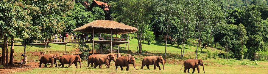 10 days in Chiang Mai