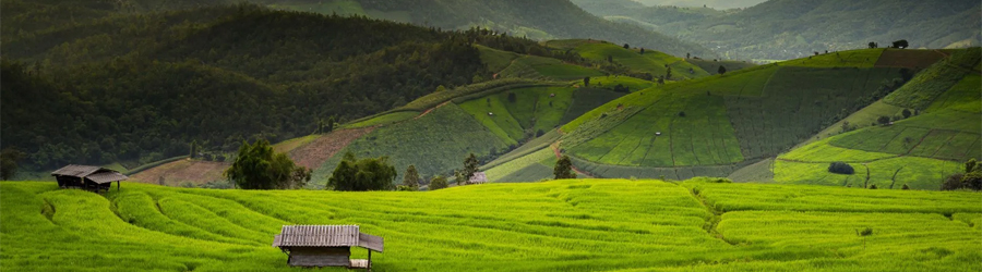 Discover the perfect Chiang Mai travel itinerary 24h