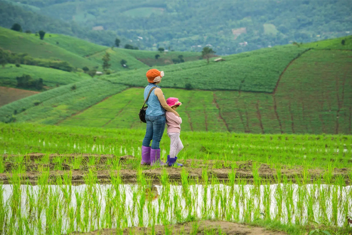 Chiang Mai is one of the top family-friendly destinations in Thailand