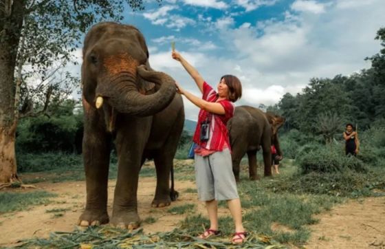 Chiang Mai In April - What To Do In Chiang Mai When It’s Hot ?