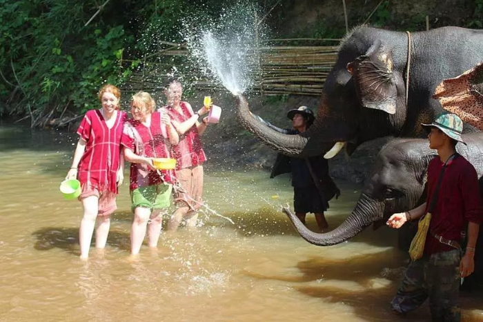 Kerchor Elephant Eco Park is a top destination to visit in Chiang Mai in April