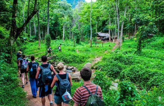 Chiang Mai Trekking: Explore Top Best Places To Trek In Chiang Mai