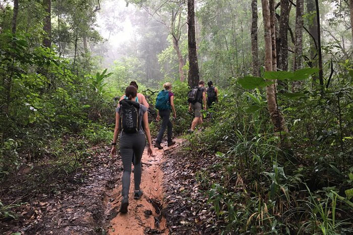 Trekking in Doi Suthep-Pui National Park 