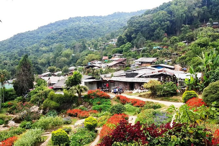Doi Pui village