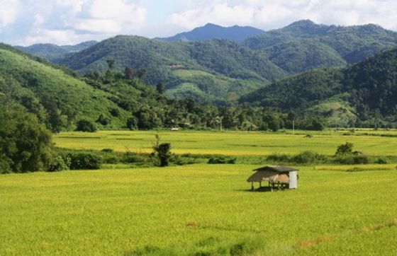 What To Do In Chiang Rai Thailand During Rainy Season?