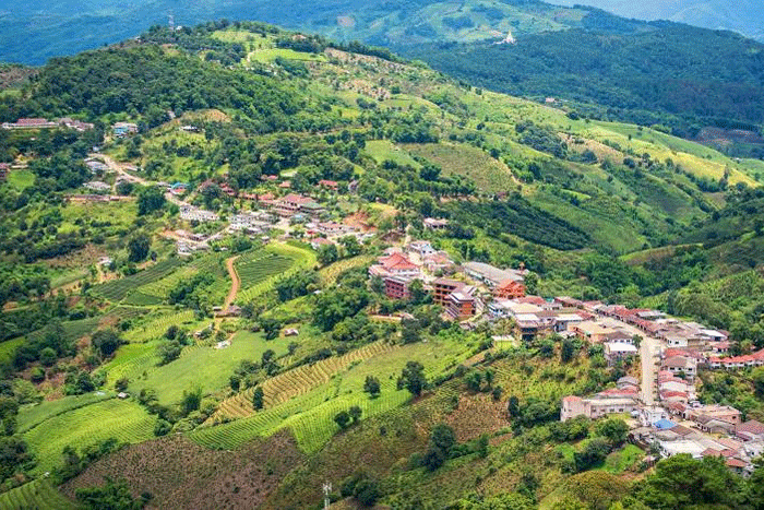 Doi Mae Salong Chiang Rai