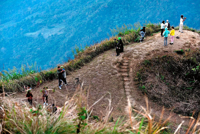 Hiking and immersion in nature in Doi Mae Salong Chiang Rai