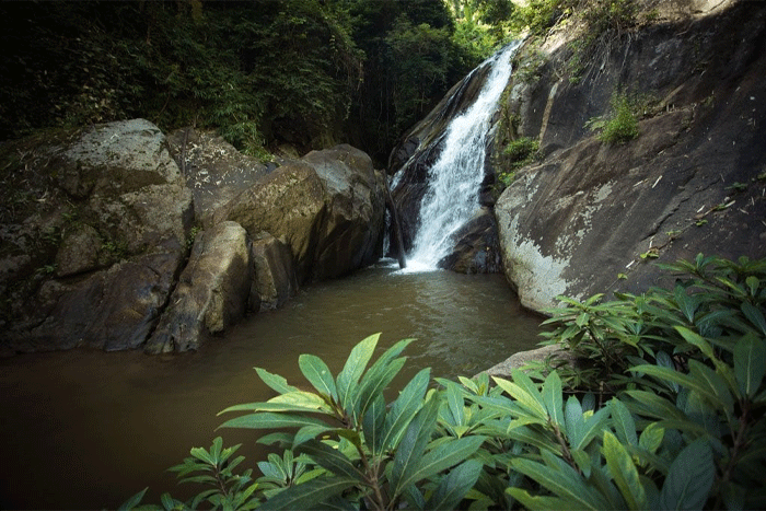 Mae Sai Waterfall