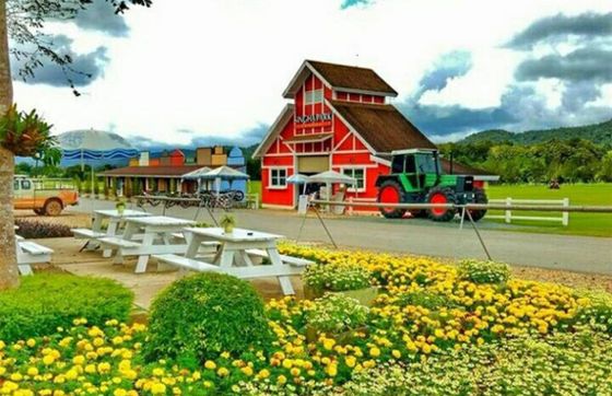 Discover Singha Park In Chiang Rai: A Complete Guide For Travelers