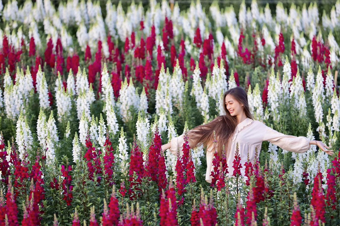 Visit flower gardens at Singha park