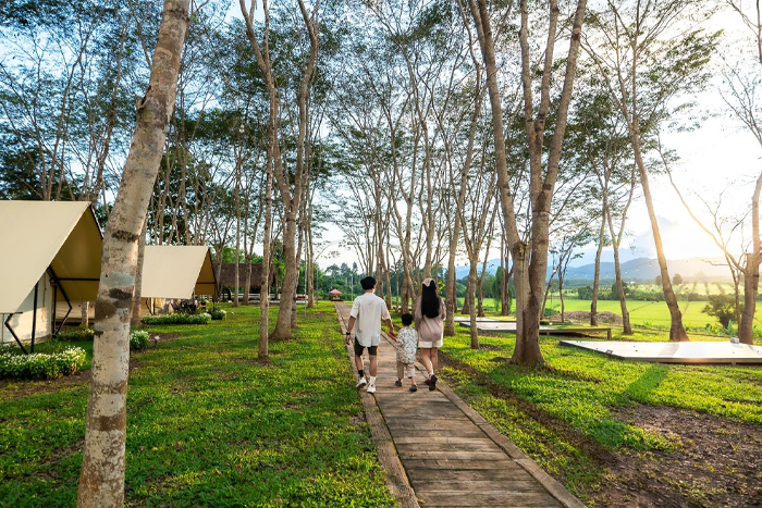  Singha Park Chiang Rai activities: What to do and what to see