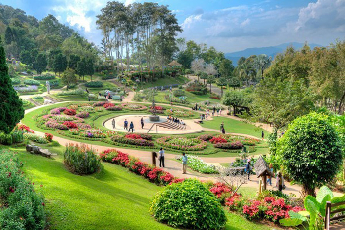 Doi Tung Chiang Rai trekking