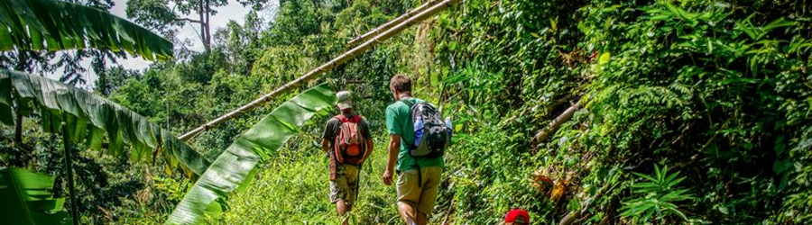 Explore top best places for trekking in Chiang Rai, Thailand