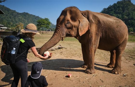 What To Do In Chiang Rai With Family? Activities In Chiang Rai With Kids