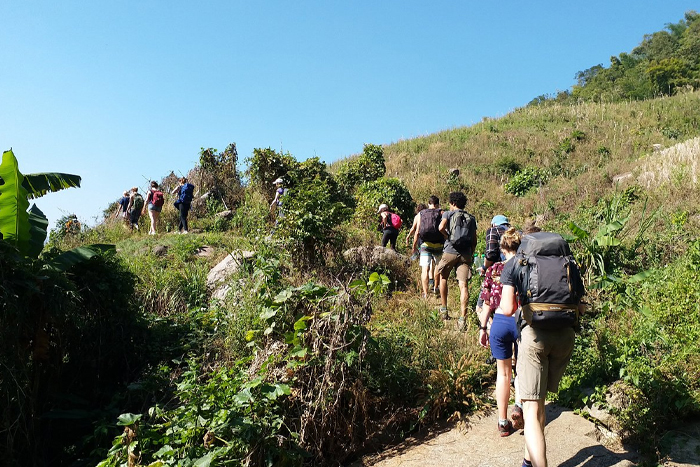 Go trekking in Chiang Rai: best things to do in Chiang Rai