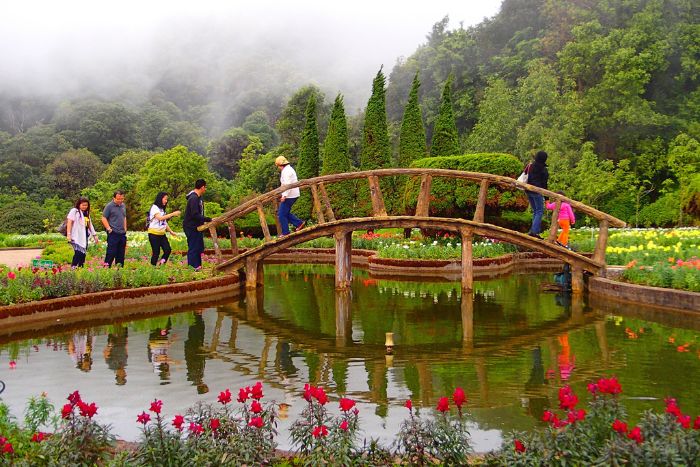 Doi Inthanon National Park – Chiang Mai 