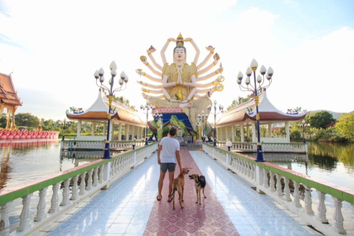 How to have a successful 2 weeks in Thailand with your dog?