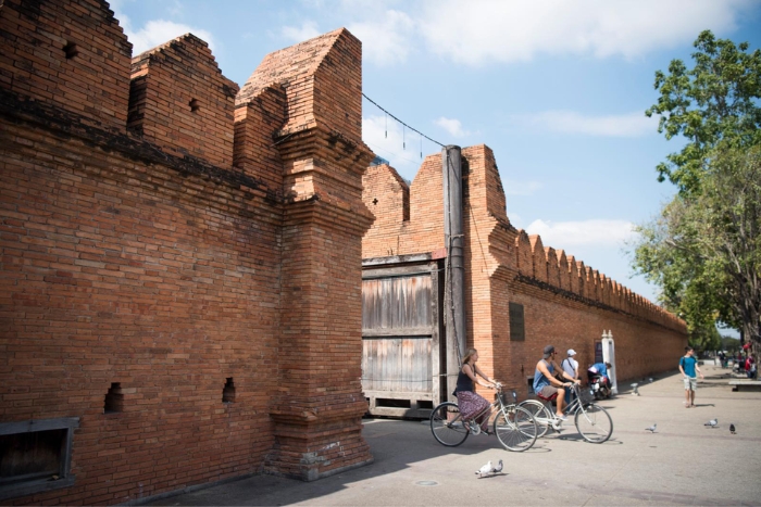 Tha Phae Gate among dog friendly destinations in Thailand for travelers