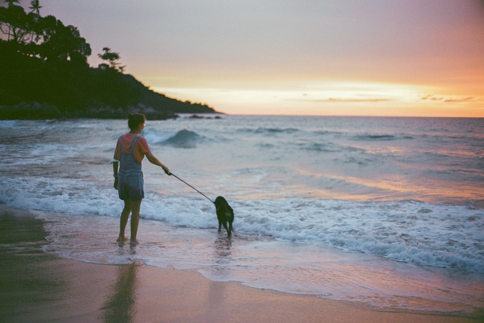 Kata Beach for travelers exploring Thailand with a dog