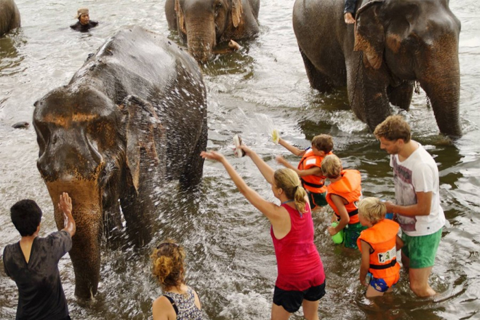 Elephants sanctuary in Kanchanaburi