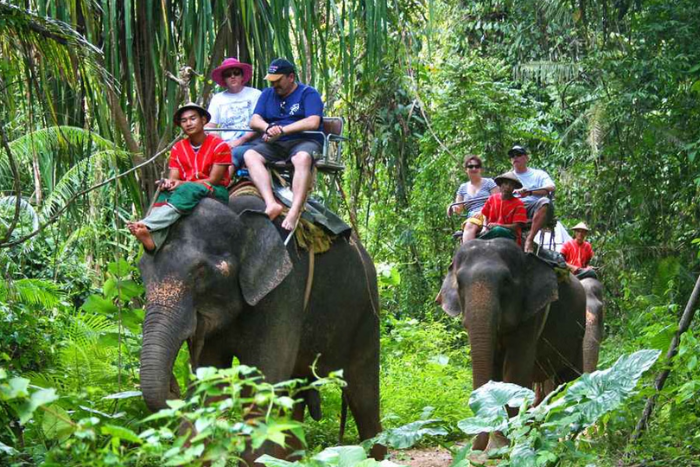 One of the things to do with children for 1 week in Koh Samui is an elephant ride through the rainforest