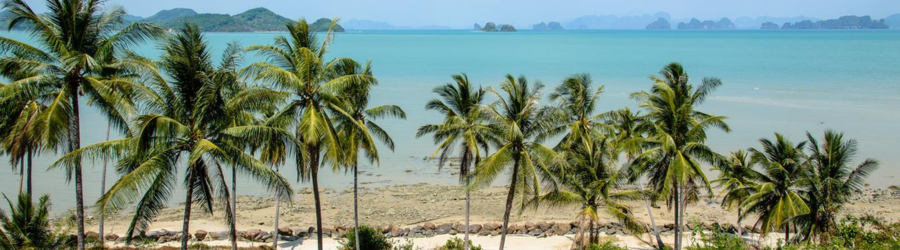You can easily find a homestay in Koh Yao Yai with beach view