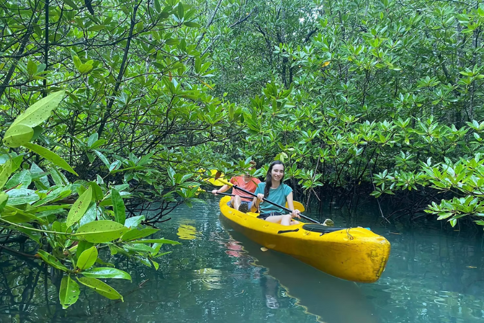 Don't miss kayaking in the mangroves - one of the best things to do in Koh Yao Yai for nature lovers
