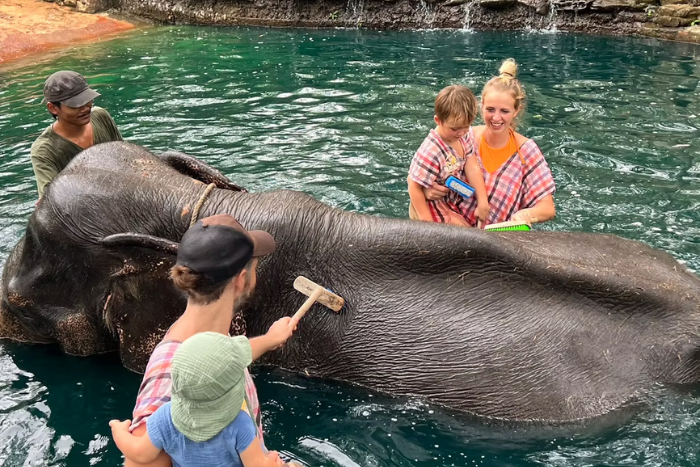 What to do in Koh Yao Yai with kids? Visit the Koh Yao Elephant Care & House to teach them about animal protection!