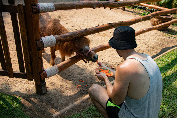 Discover the Santhiya Mini Farm - one of the best places for a family trip to Koh Yao Yai