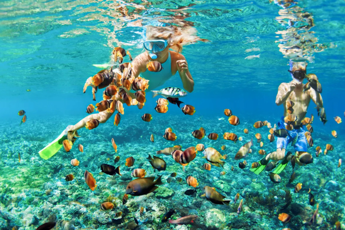 Diving among thousands of tropical fish is an unforgettable experience during your 5-day Koh Yao Yai itinerary