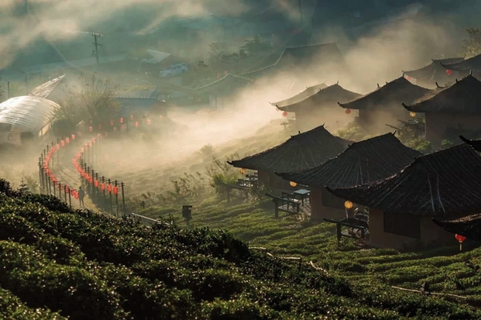 Sip a cup of fragrant tea on a peaceful day in Ban Rak Thai
