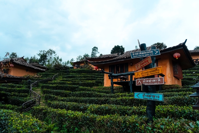 Ban Rak Thai: a charming Yunnanese village in Mae Hong Son
