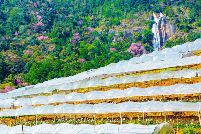 The road between Chiang Mai and Mae Hong Son officially features 1,864 curves