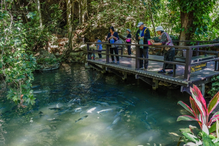 Tham Pla Fish Cave