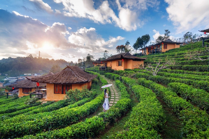 village‎ of Ban Rak‎ Thai, a key stop‎ during Northern‎ Thailand family travel