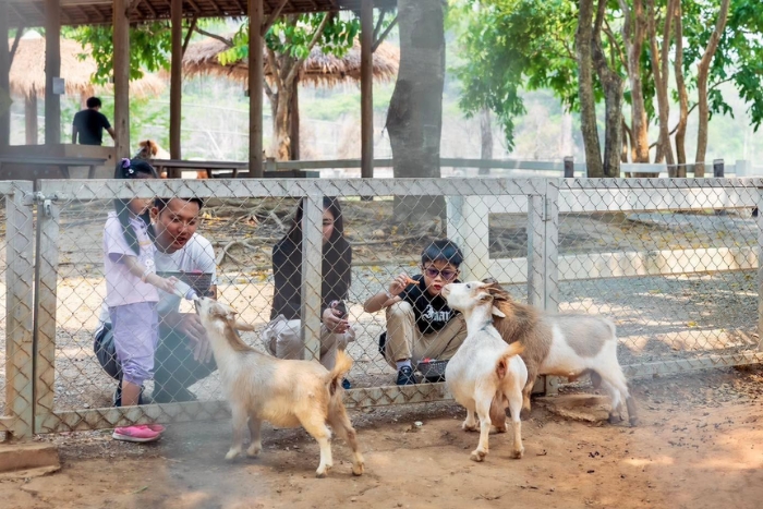 Singha‎ Park for families looking‎ for things to do in‎ Northern Thailand with family