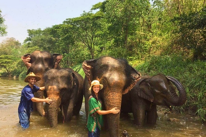Ethical elephant sanctuary