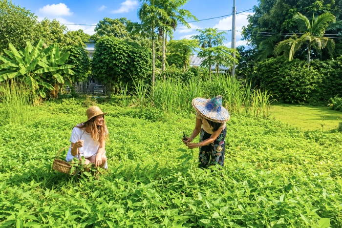 A nature moment in the heart of Phuket Nonnita Boutique Resort