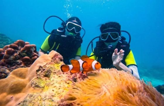 Best Things To Do In Phuket For Families With Kids