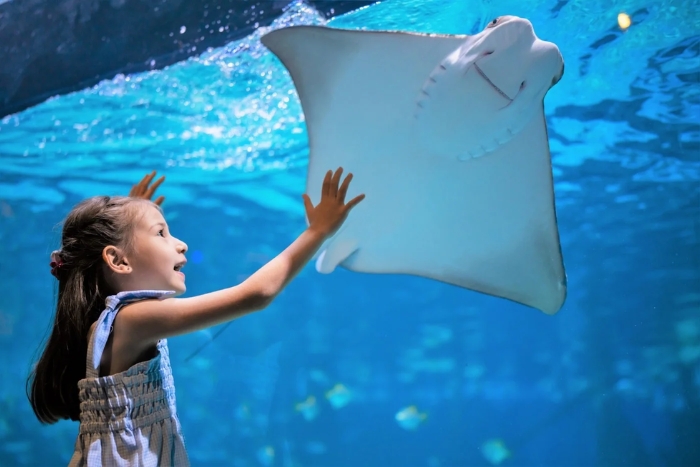 Phuket Aquarium