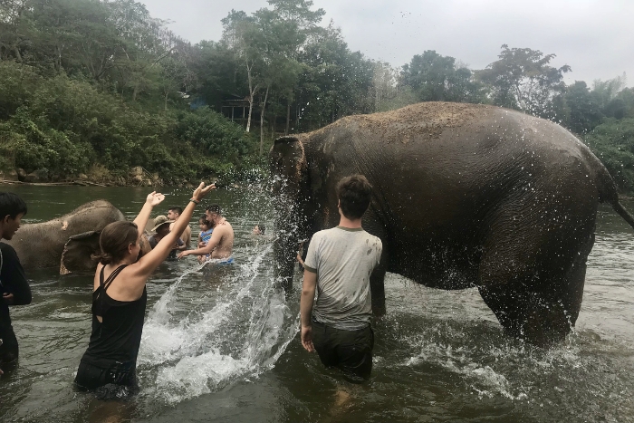Elephant World Sanctuary Kanchanaburi