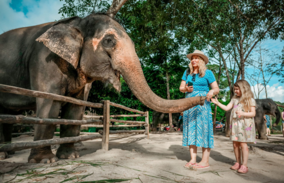21-day Thailand Laos Itinerary Of M.Lebron’s Family