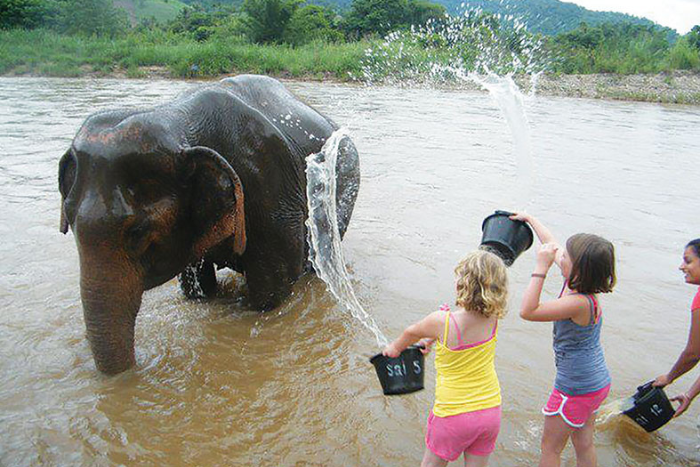 The visit to Elephant Nature Park in Chiang Mai was truly a real treat for kids