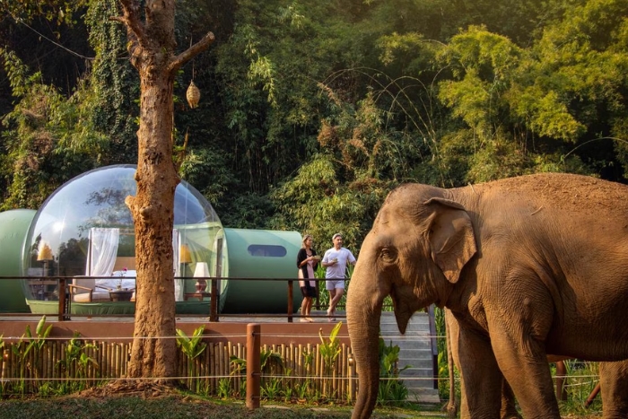 Anantara Golden Triangle 