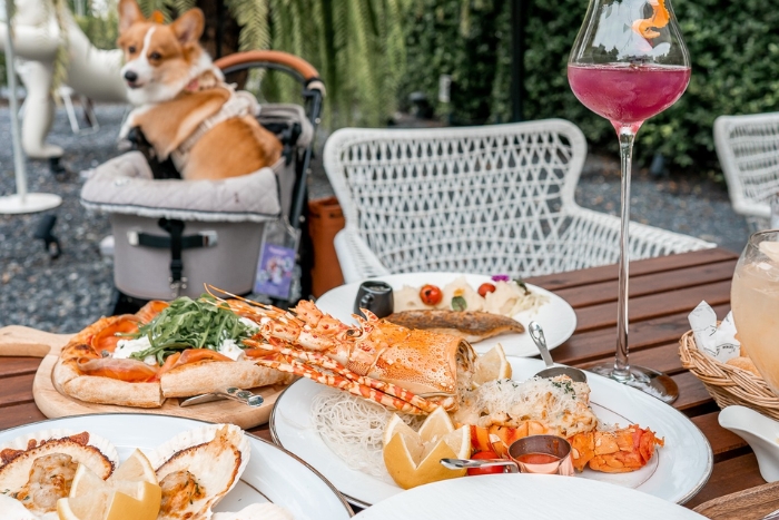 Pet-friendly restaurants and cafes are easy to find in Thailand