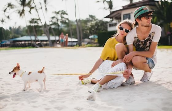 What To Know About Travelling With Pets In Thailand?
